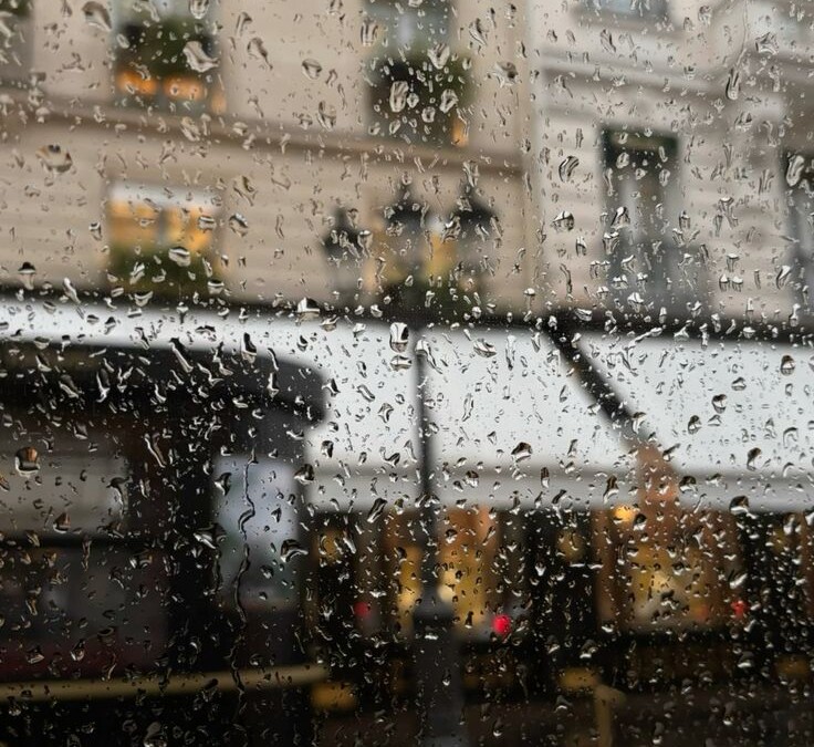 Rainy Day in Lille? Discover the Best Things to Do Indoors